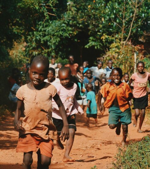 children running and walking on brown sand surrounded with trees during daytime